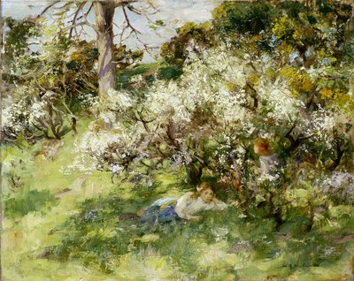 Schlehenblüte von William Stewart MacGeorge